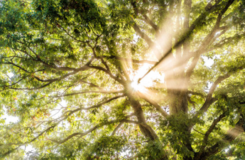 It looks like we’re finally in for some sunny weather today