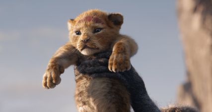 Disney’s remake of The Lion King is set to roar onto ODEON screens tomorrow