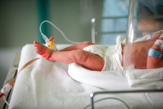 Climate change could soon cause congenital heart defects in babies, says study