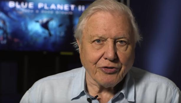 BBC announce David Attenborough has two nature documentaries coming this year