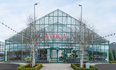 Popular products sold by Avoca have been recalled due to ‘incorrect information’