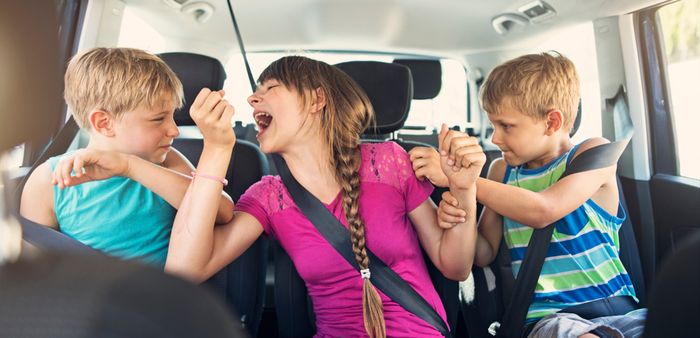 Children from bigger families 'more likely' to suffer sibling bullying