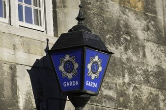 A 16-year-old boy has died following a single car collision in Co Carlow