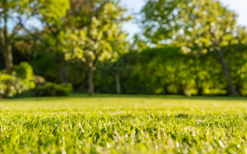 The weather forecast is looking good today with temps reaching 17 degrees