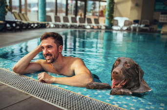 You can now go on a spa day with your dog in the UK and sorry, imagine