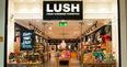 11 vegan Lush products to add to your beauty routine in 2020