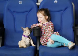 There’s a dog-friendly cinema screening happening in Dublin soon