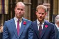 Prince Harry and Prince William say ‘offensive’ article about their relationship is ‘false’