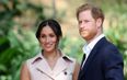 Meghan Markle and Prince Harry ‘besotted’ with each other since stepping back from royal life