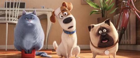 The Secret Life of Pets is on RTÉ One tonight and that’s our Saturday evening sorted