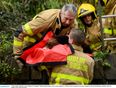 Firefighters from Phibsborough station rescue dog from a cliff