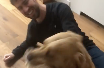 WATCH: Dog graciously stops owner from leaving the house due to coronavirus