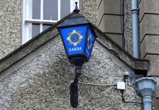 Dublin child seriously injured following attack by dogs in Dublin