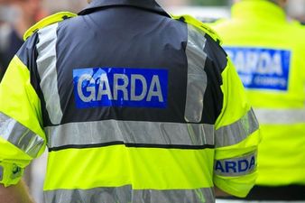 Eight year old Dublin boy attacked by dogs has died