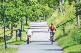 Mother’s genius ‘bike hack’ keeps kids active indoors