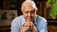 David Attenborough to teach kids geography in BBC’s online classes programme