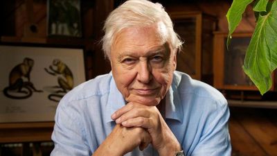 David Attenborough to teach kids geography in BBC’s online classes programme