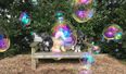 #entertainingathome: Jiminy introduces fun giant eco doggie-friendly bubbles
