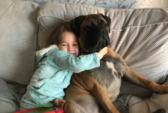 Kids have been applying to ‘work from home’ with their dogs during lockdown and nah, too much