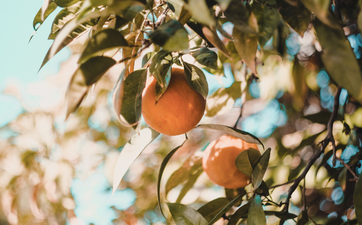 Selfcare Sunday: The easy DIY body scrub that’ll slough off that dry winter skin