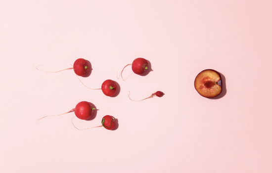 female eggs choose sperm