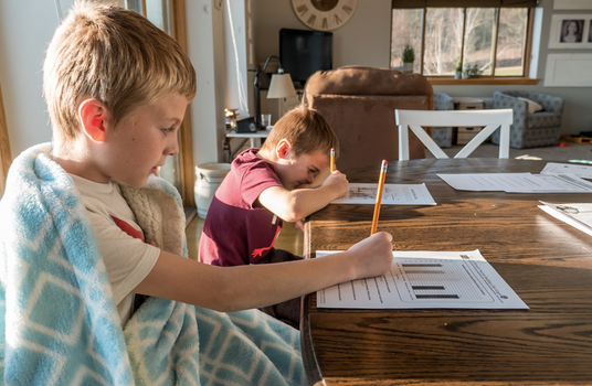 girls did more homework than boys during homeschool