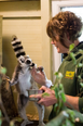 Secret Valley put out emergency appeal to help feed and shelter Exotic Wildlife
