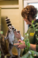 Secret Valley put out emergency appeal to help feed and shelter Exotic Wildlife