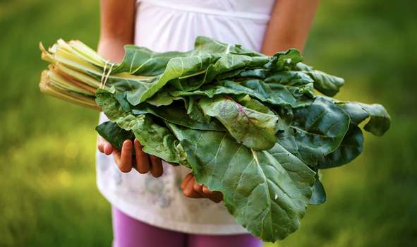 kids' online cooking classes