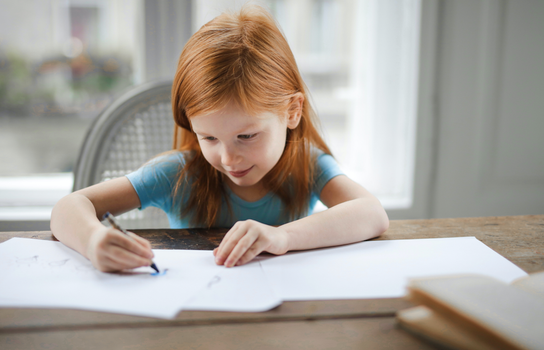 primary schools in Ireland should abandon homework