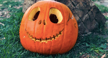 ‘Pumpkin spotting’ might be replacing trick-or-treating this year – and it sounds like good fun