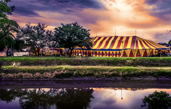 There is a drive-in circus experience happening at Leopardstown Racecourse this weekend