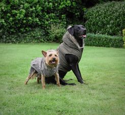 Aldi is selling Parka jackets for dogs next week and yes they have a hood