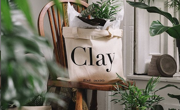 The gift that grows: We are obsessed with this new online Irish plant shop