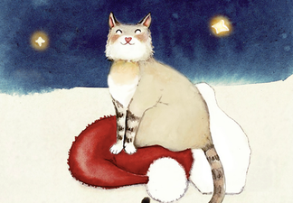 Santa’s Cat: Irish author and illustrator team up for children this Christmas