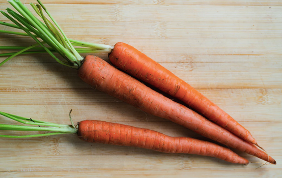 no carrots for Rudolph