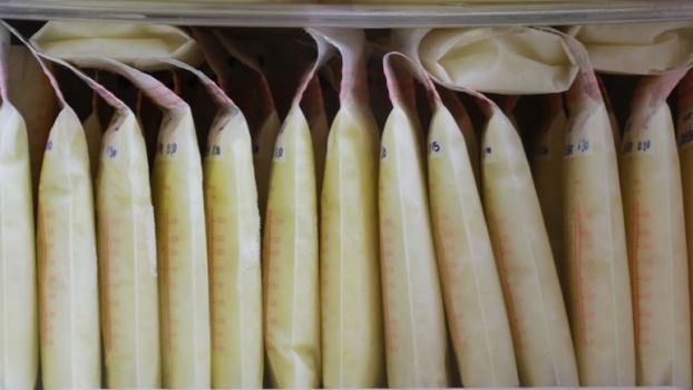 breast milk bank