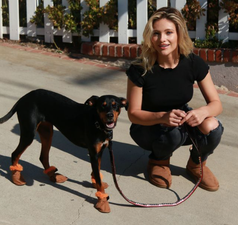 PSA: You can get Ugg boots for your dog now