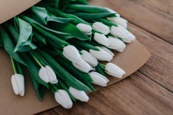 The clever hacks that keep your tulips from drooping