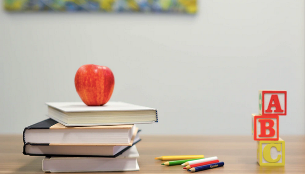 more languages taught at primary level