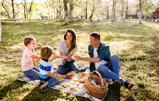 Ireland's top picnic spots