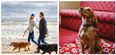 Fur babies welcome! 8 dog-friendly hotels in Northern Ireland to book into this summer