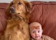 Watch: The sweetest love between a dog and her human baby sister