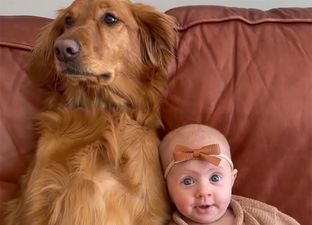 Watch: The sweetest love between a dog and her human baby sister