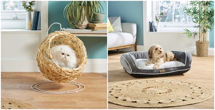 How paw-fect! These eco-friendly pet buys are coming to Aldi next weekend