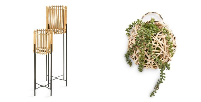 plant pots and accessories from Penneys