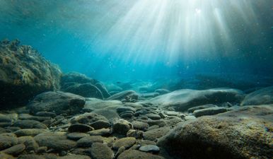 Body of 6-year-old girl kidnapped by father found in sports bag in sea