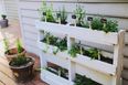 Weekend DIY: Grow your own food with this easy pallet herb garden