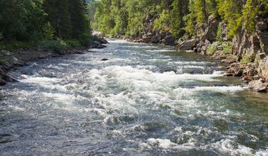 Heroic 10-year-old boy tragically dies whilst saving sister from drowning in river