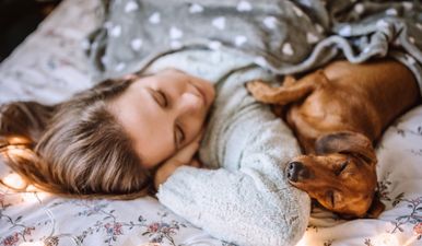 Sharing a bed with your pet is good for your health, science says